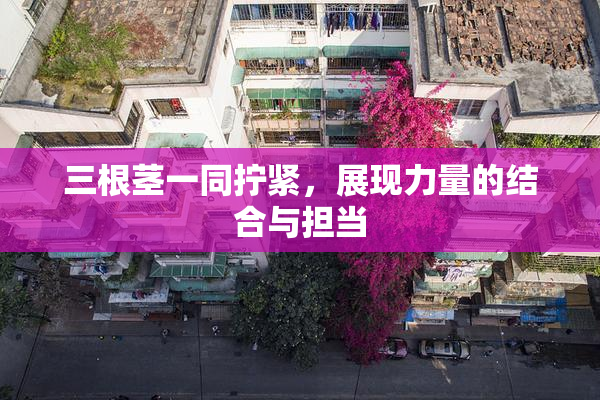 三根茎一同拧紧，展现力量的结合与担当