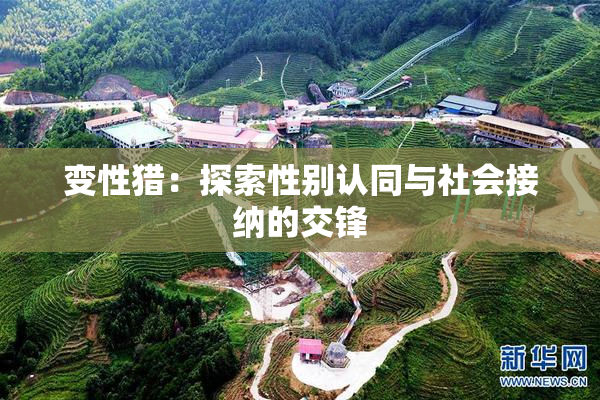 变性猎：探索性别认同与社会接纳的交锋