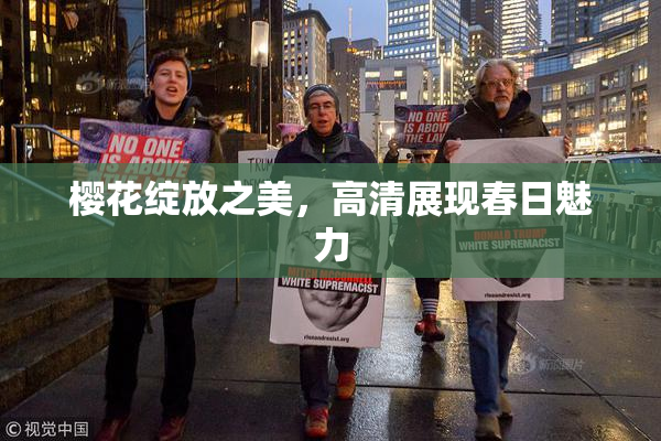 樱花绽放之美，高清展现春日魅力