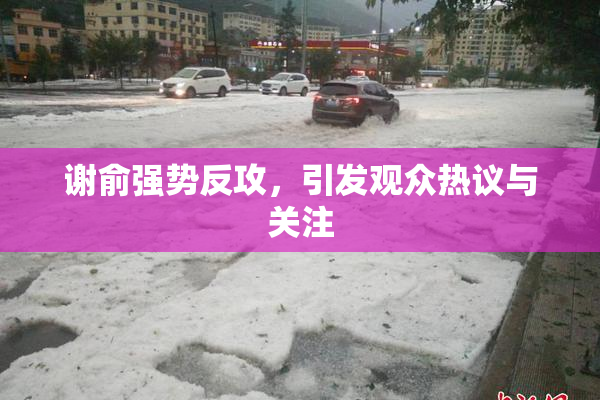 谢俞强势反攻，引发观众热议与关注