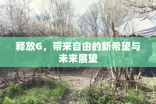 释放G，带来自由的新希望与未来展望
