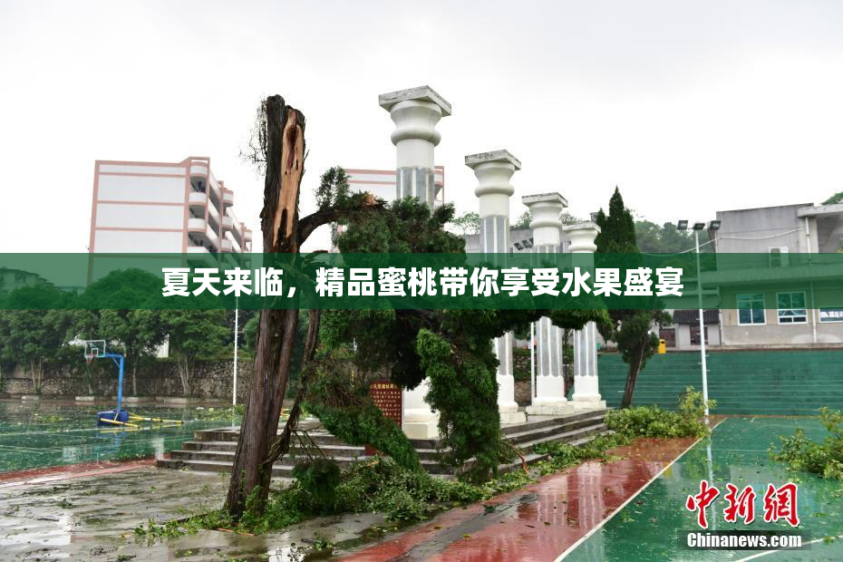 夏天来临，精品蜜桃带你享受水果盛宴