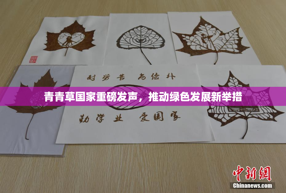 青青草国家重磅发声，推动绿色发展新举措