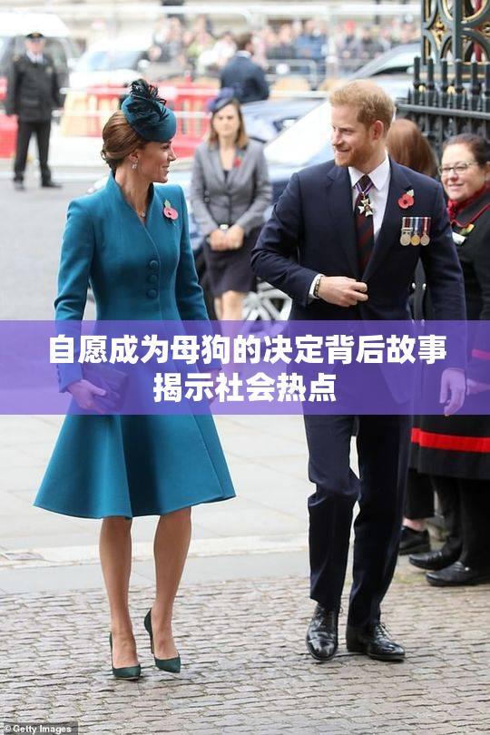 自愿成为母狗的决定背后故事揭示社会热点