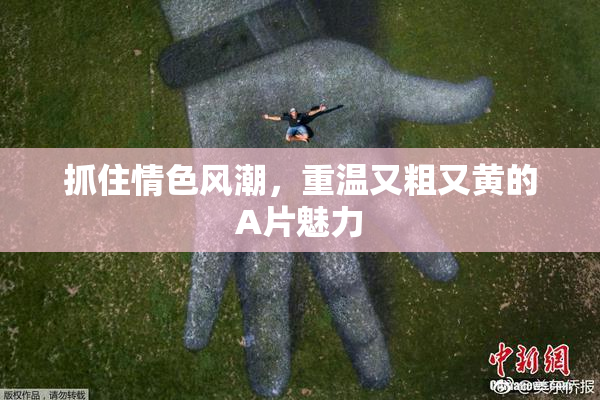 抓住情色风潮，重温又粗又黄的A片魅力