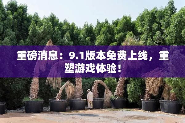重磅消息：9.1版本免费上线，重塑游戏体验！