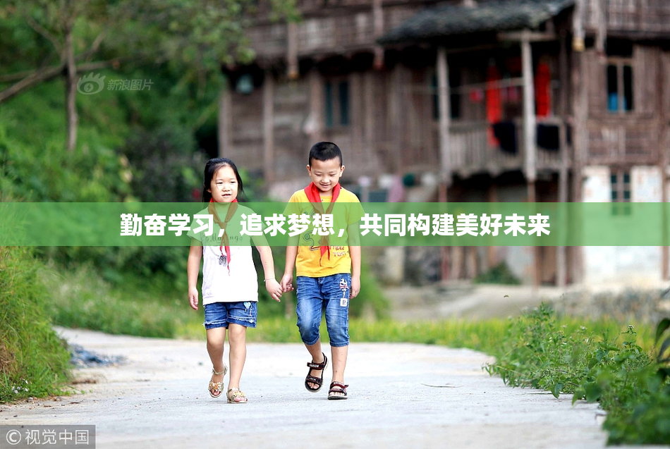 勤奋学习，追求梦想，共同构建美好未来