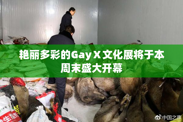 艳丽多彩的GayⅩ文化展将于本周末盛大开幕
