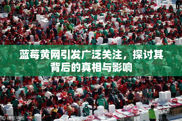 蓝莓黄网引发广泛关注，探讨其背后的真相与影响