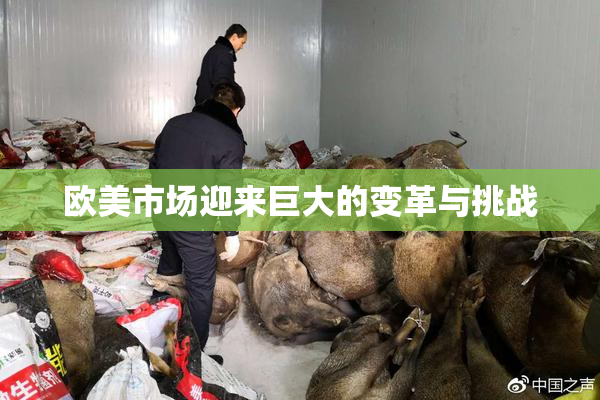 欧美市场迎来巨大的变革与挑战