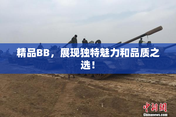 精品BB，展现独特魅力和品质之选！