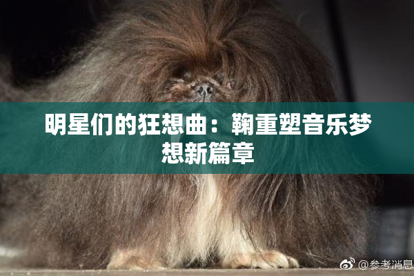 明星们的狂想曲：鞠重塑音乐梦想新篇章