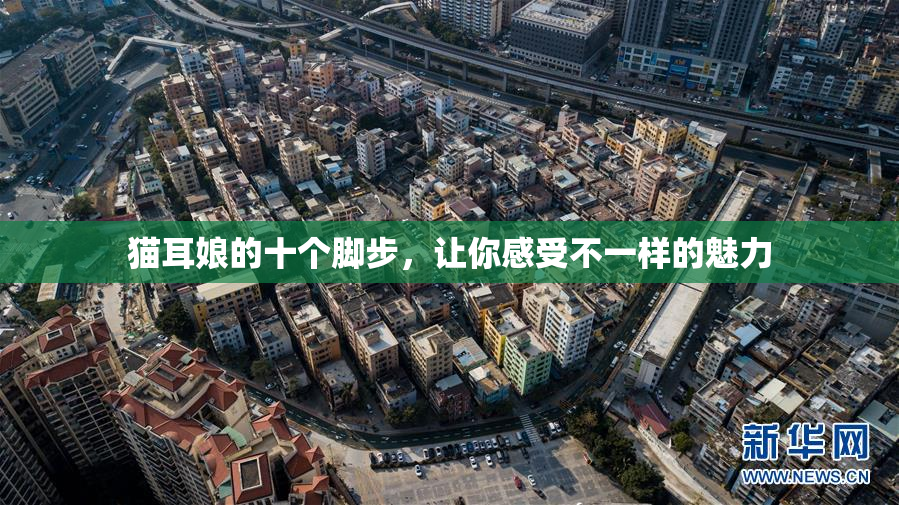 猫耳娘的十个脚步，让你感受不一样的魅力