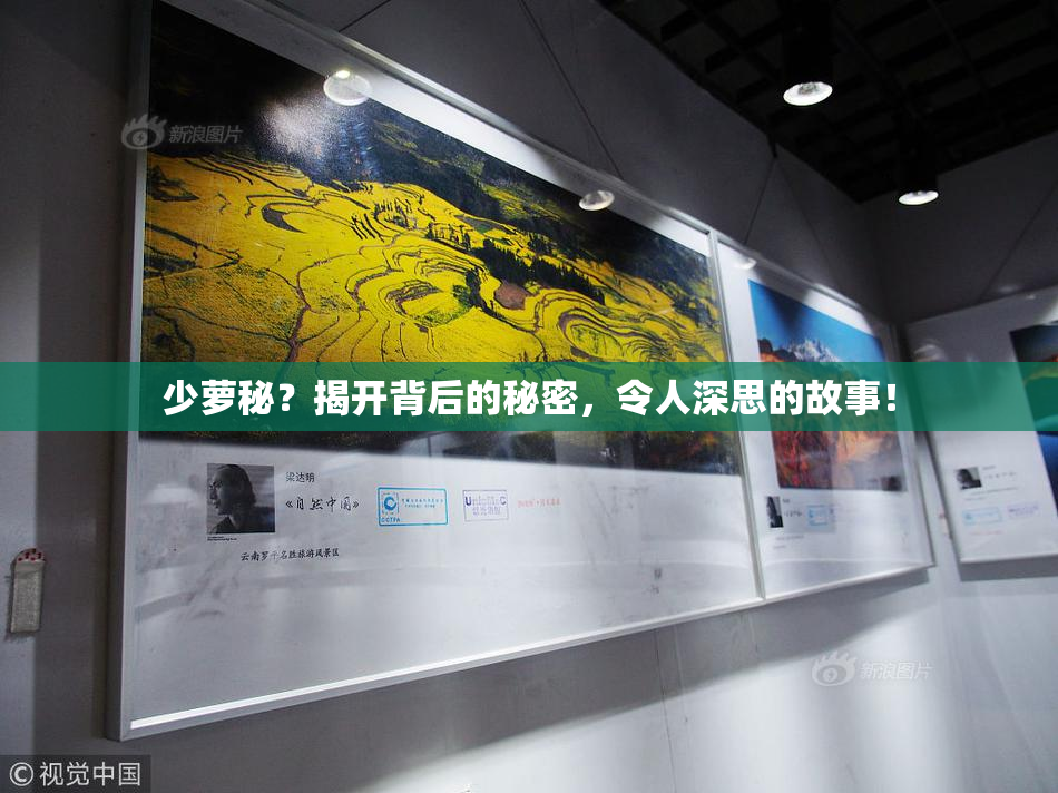 少萝秘？揭开背后的秘密，令人深思的故事！