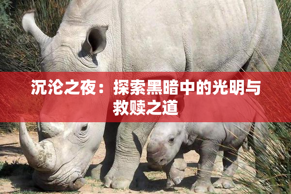 沉沦之夜：探索黑暗中的光明与救赎之道