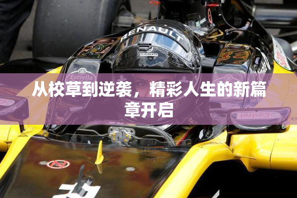 从校草到逆袭，精彩人生的新篇章开启