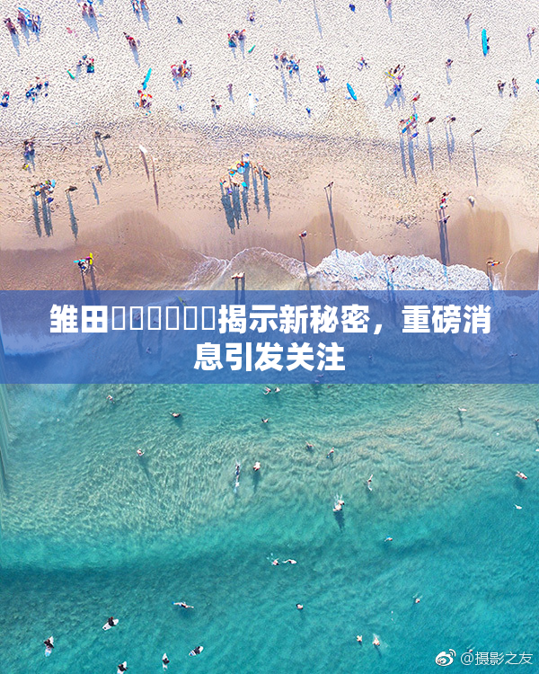 雏田❌‌❌‌❌‌揭示新秘密，重磅消息引发关注