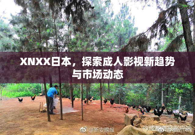 XNXX日本，探索成人影视新趋势与市场动态
