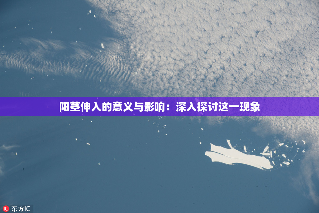 阳茎伸入的意义与影响：深入探讨这一现象