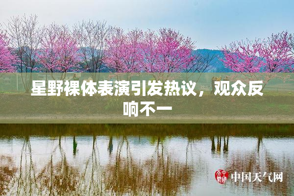 星野裸体表演引发热议，观众反响不一