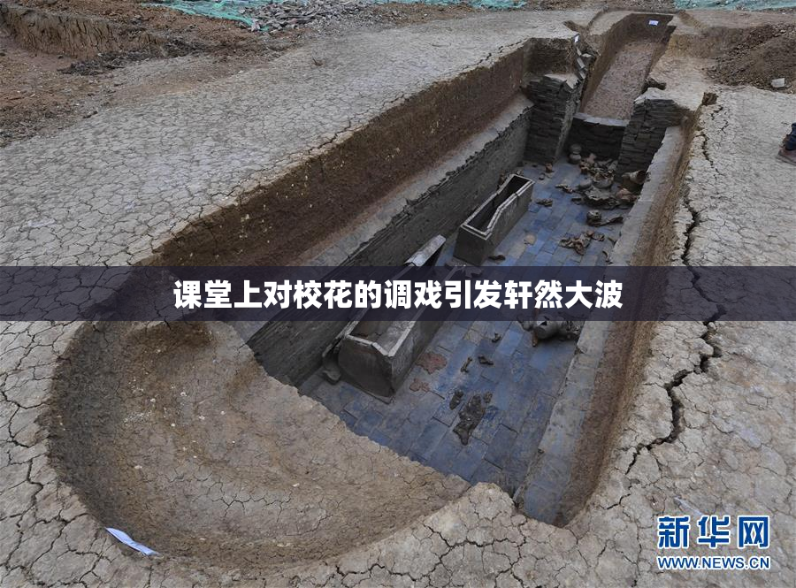 课堂上对校花的调戏引发轩然大波