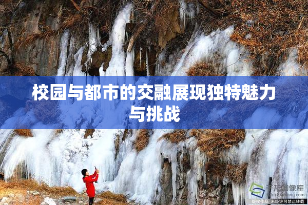校园与都市的交融展现独特魅力与挑战