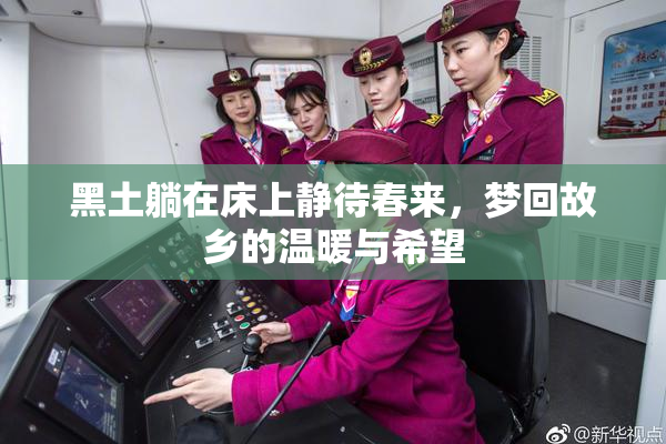 黑土躺在床上静待春来，梦回故乡的温暖与希望
