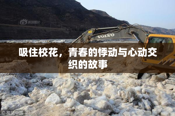吸住校花，青春的悸动与心动交织的故事