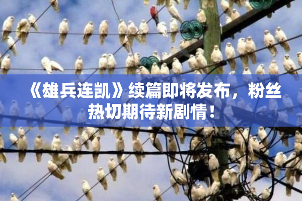 《雄兵连凯》续篇即将发布，粉丝热切期待新剧情！