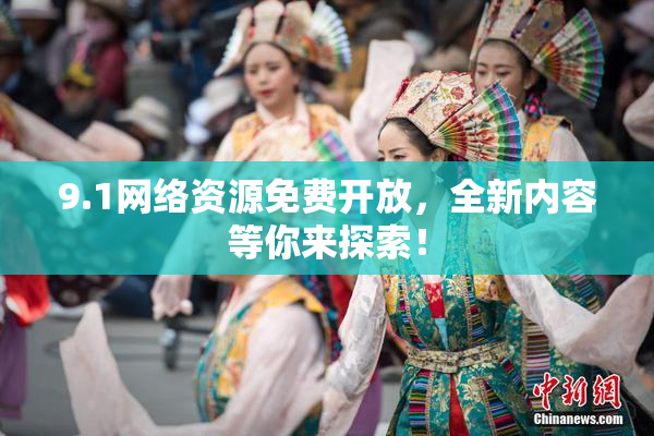9.1网络资源免费开放，全新内容等你来探索！