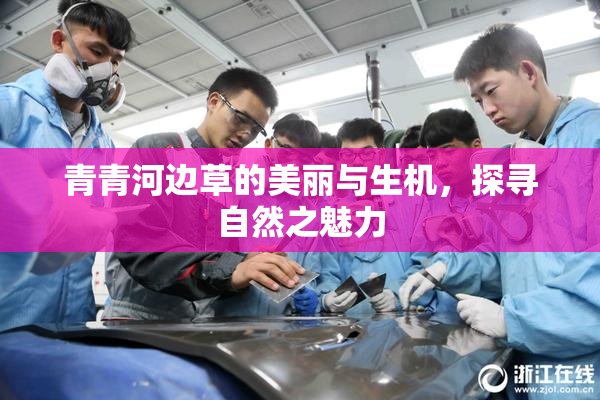 青青河边草的美丽与生机，探寻自然之魅力