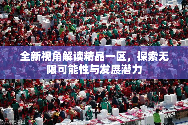 全新视角解读精品一区，探索无限可能性与发展潜力