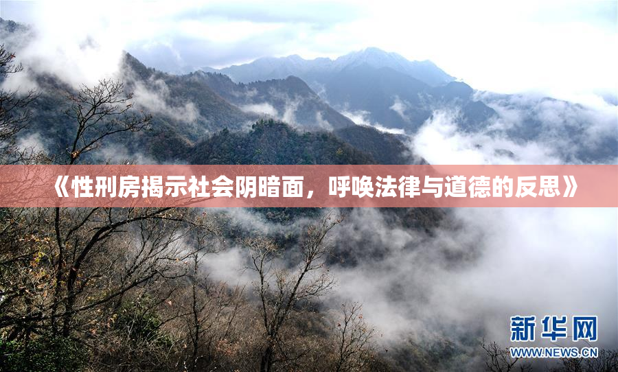 《性刑房揭示社会阴暗面，呼唤法律与道德的反思》