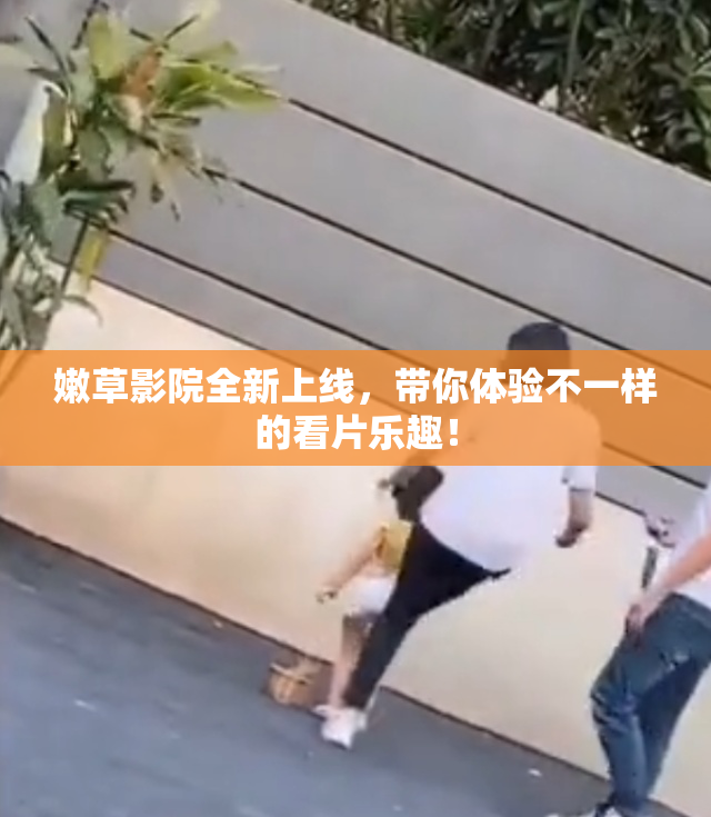 嫩草影院全新上线，带你体验不一样的看片乐趣！