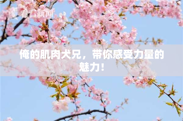 俺的肌肉犬兄，带你感受力量的魅力！