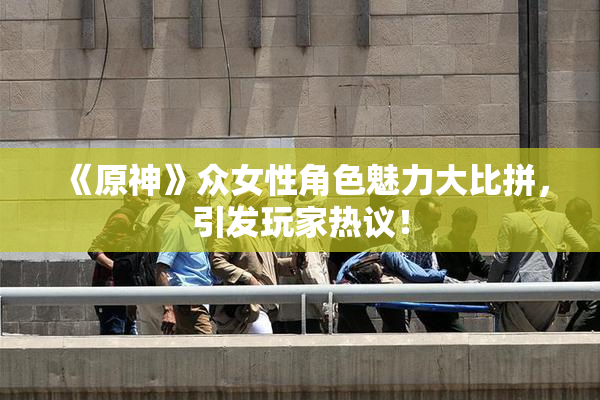 《原神》众女性角色魅力大比拼，引发玩家热议！