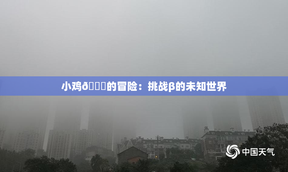 小鸡🐔的冒险：挑战β的未知世界