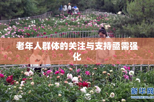 老年人群体的关注与支持亟需强化