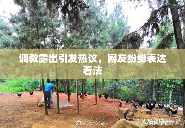 调教露出引发热议，网友纷纷表达看法