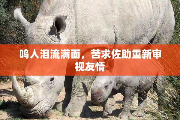 鸣人泪流满面，苦求佐助重新审视友情