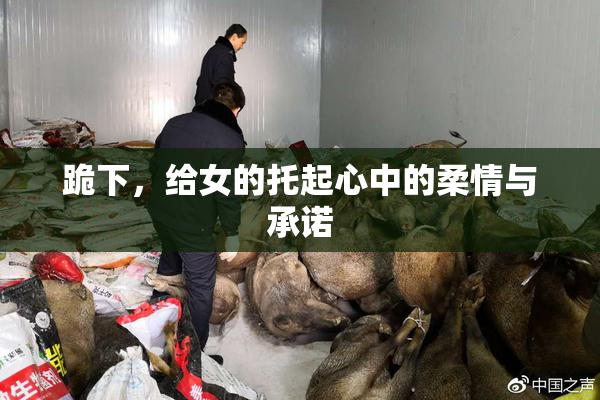 跪下，给女的托起心中的柔情与承诺