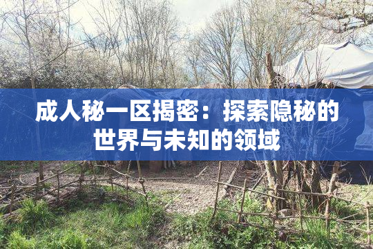 成人秘一区揭密：探索隐秘的世界与未知的领域