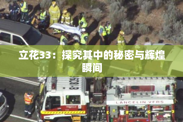 立花33：探究其中的秘密与辉煌瞬间