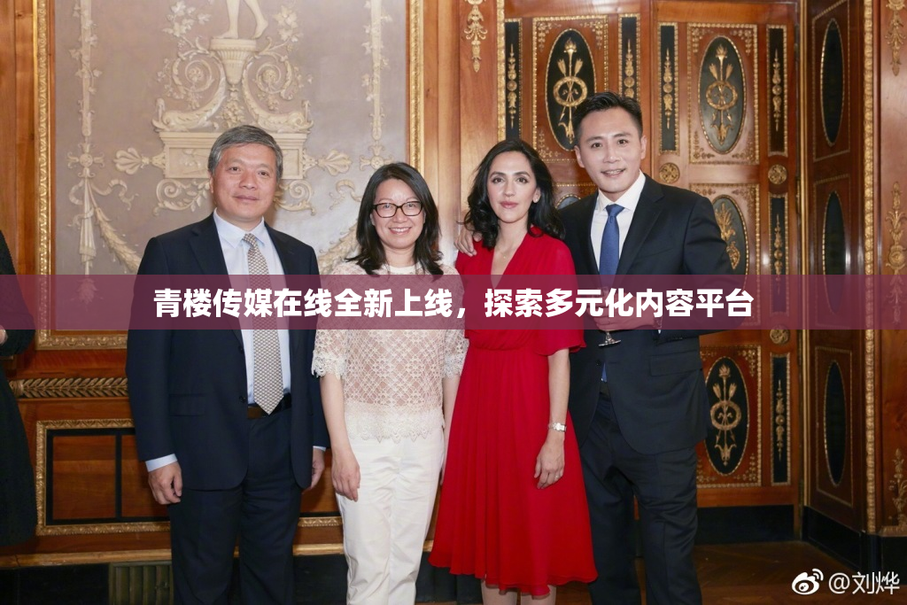 青楼传媒在线全新上线，探索多元化内容平台
