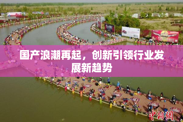 国产浪潮再起，创新引领行业发展新趋势