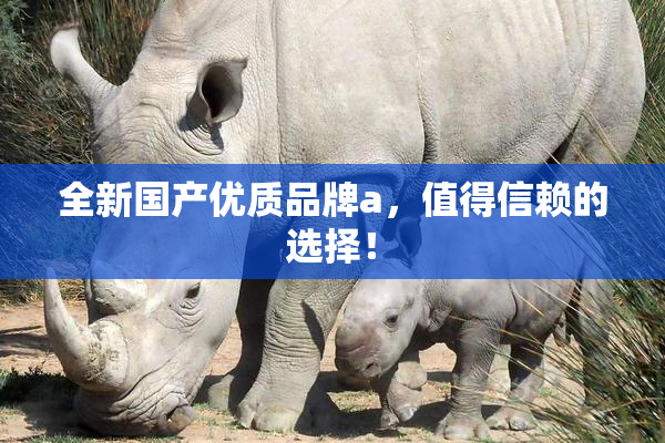 全新国产优质品牌a，值得信赖的选择！