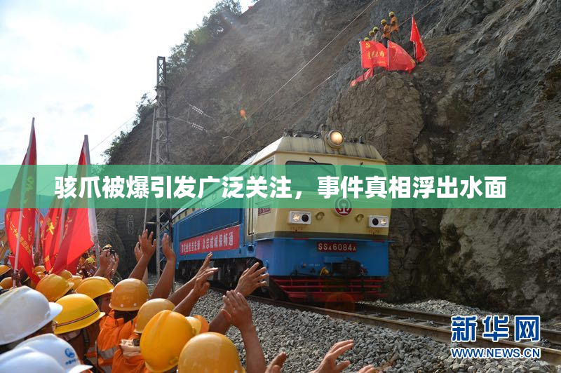 骇爪被爆引发广泛关注，事件真相浮出水面