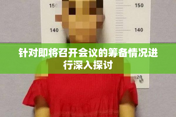 针对即将召开会议的筹备情况进行深入探讨