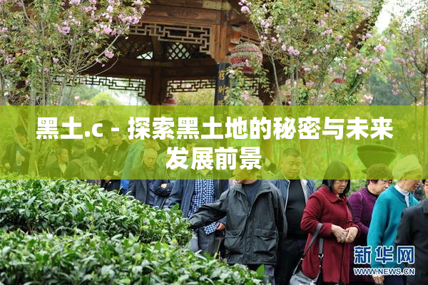 黑土.c - 探索黑土地的秘密与未来发展前景
