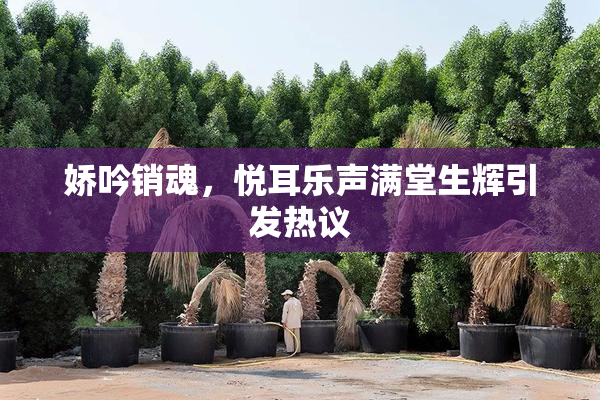 娇吟销魂，悦耳乐声满堂生辉引发热议